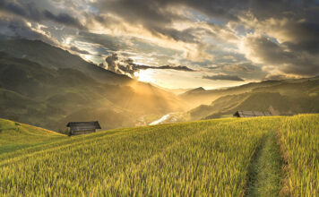 Deszczownie szpulowe w różnych typach upraw – gdzie sprawdzają się najlepiej? Deszczownie szpulowe w różnych typach upraw